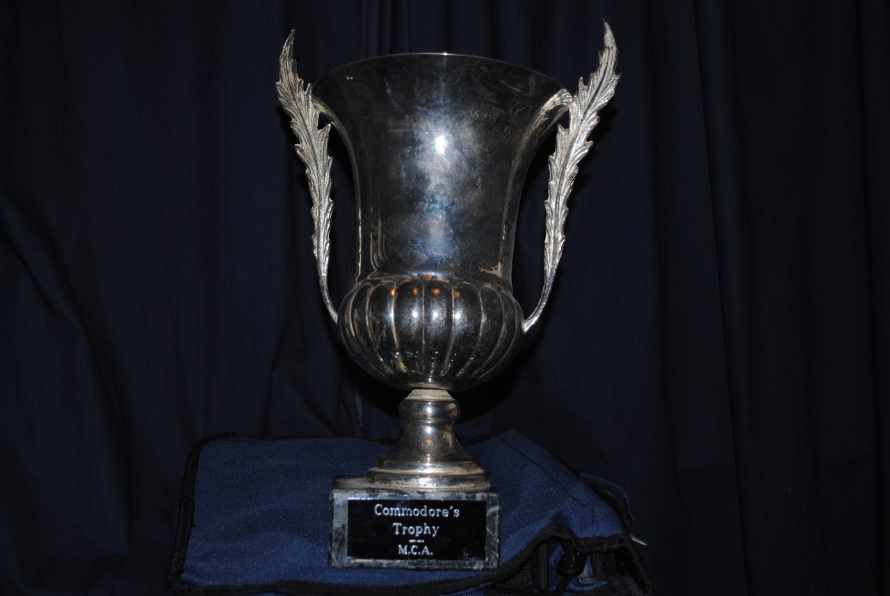 A silver cup with fern leaf handles and a mable effect base