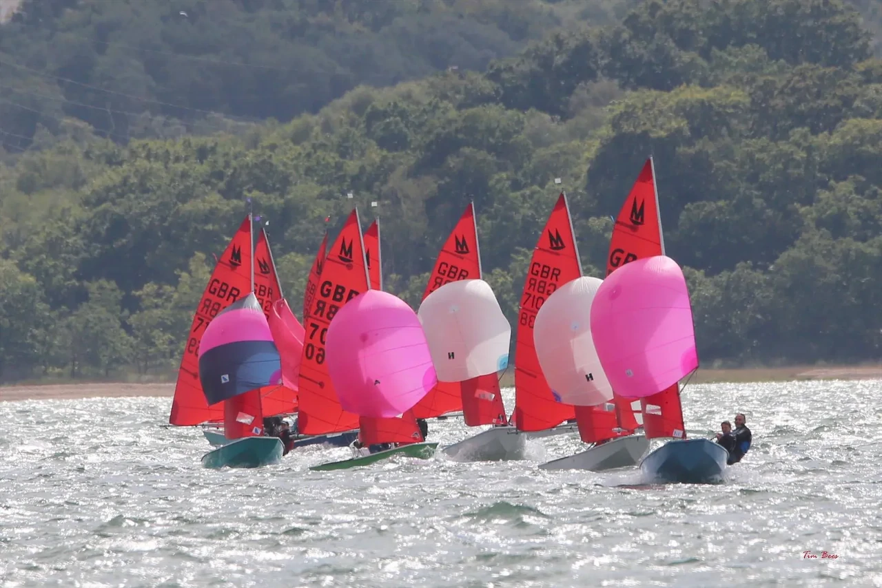 a group of Mirror dinghies racing with spinnakers set on a windy day